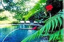 Hotel Tjampuhan And Spa Ubud 4*,  Indonésie